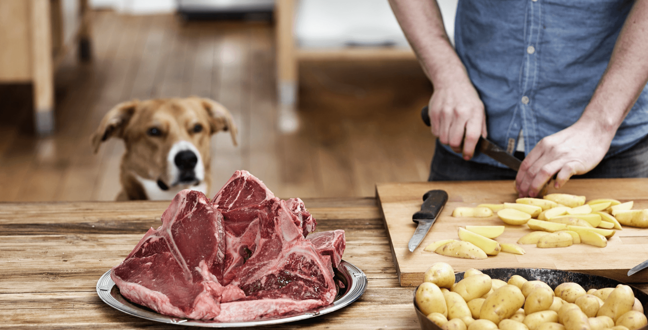 Les carnivores sont-ils en meilleure santé que les végétariens? (article GQ)